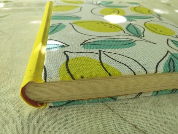 Producto - Taficeño version 4