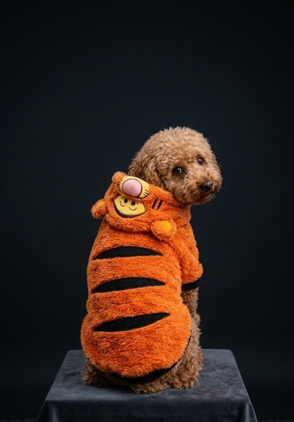 Producto - Buzo Tiger, Winnie the pooh