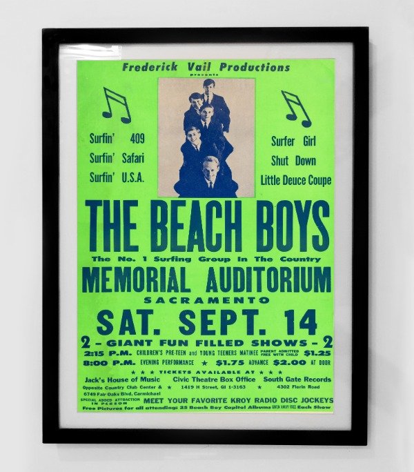 Producto - BEACH BOYS (Nro 9)