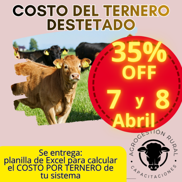 Producto - Taller Online: Costo del Ternero