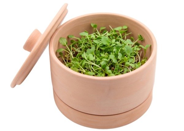 Producto - Germinador Apilable Brotes Semillas Microgreens POR ENCARGO - 8