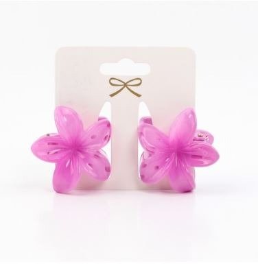 Producto - Broche set x2 Mini Hawaii