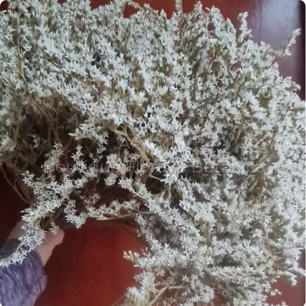 Producto - Fardo de Estrellita I Mayorista
