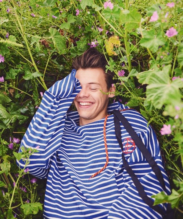 Producto - HARRY STYLES 2/2