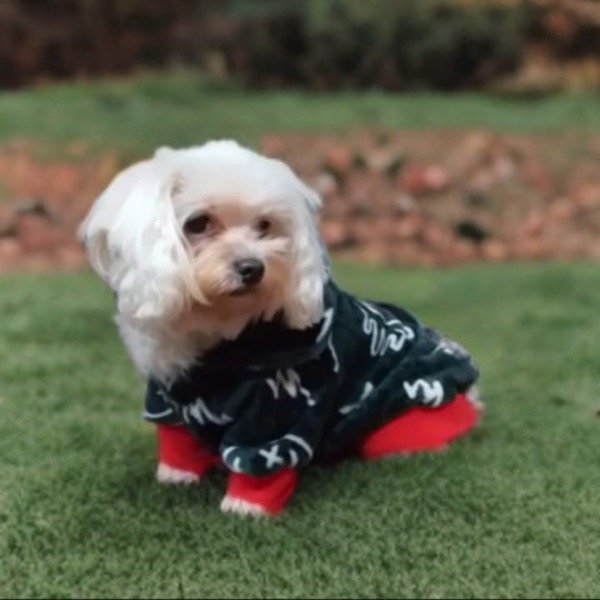 Producto - Buzo Soft Edicion Limitada