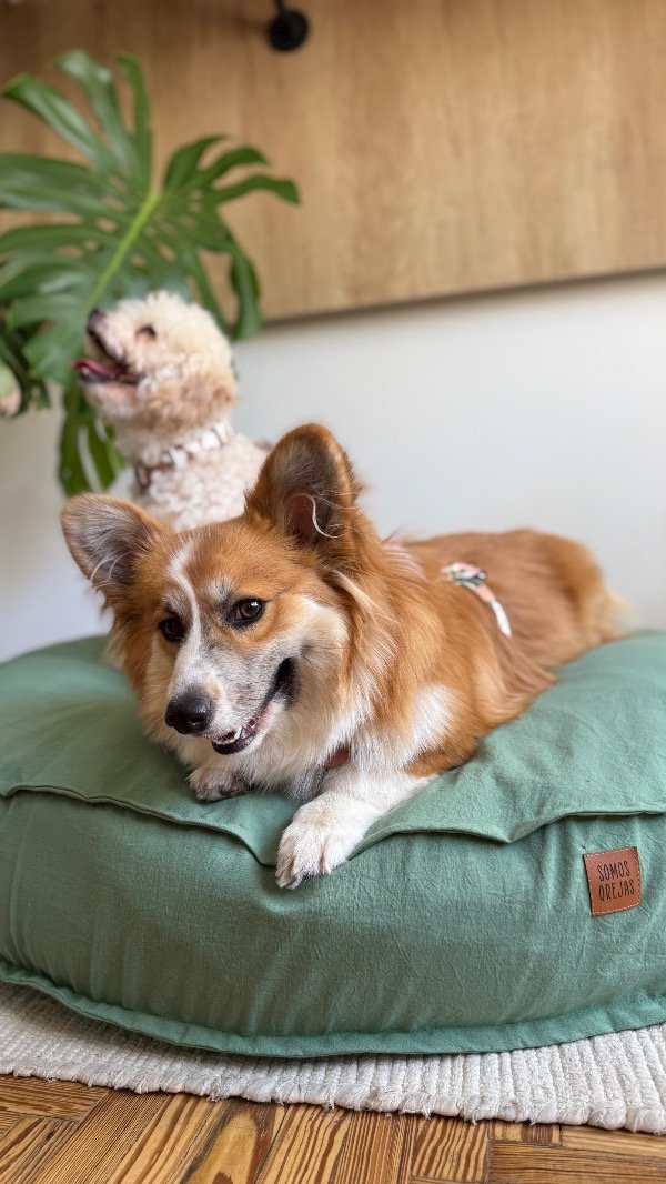 Producto - Cama Macaron Tusor Pistacho