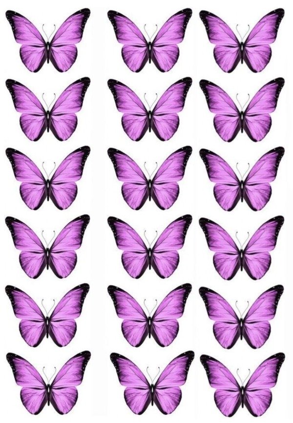 Producto - LAMINA MARIPOSA LILA 8