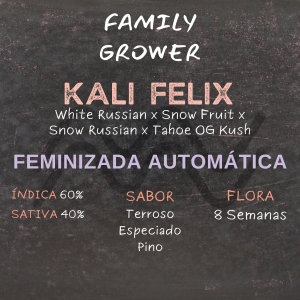 Producto - Semillas Kali Felix Family Grower (Fem.Auto.)