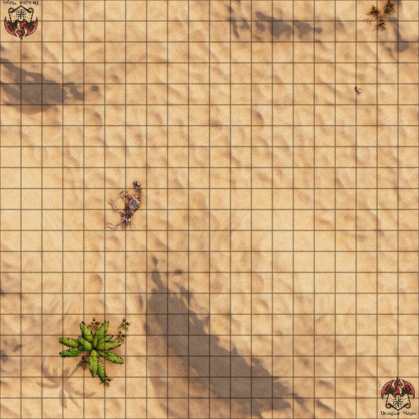 Producto - Desierto 1