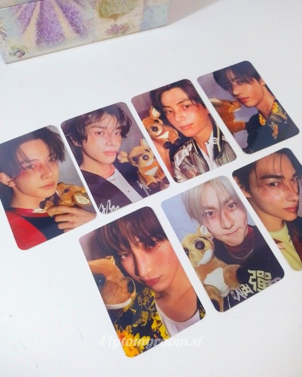 Producto - Enhypen photocards - Desire Unleashed Versión You