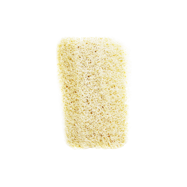 Producto - E33 ESPONJA VEGETAL