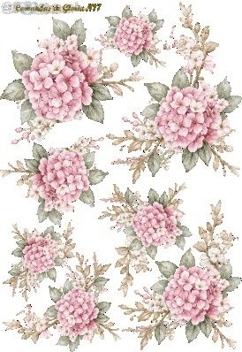 Producto - C.DE GLORIA N17  UV