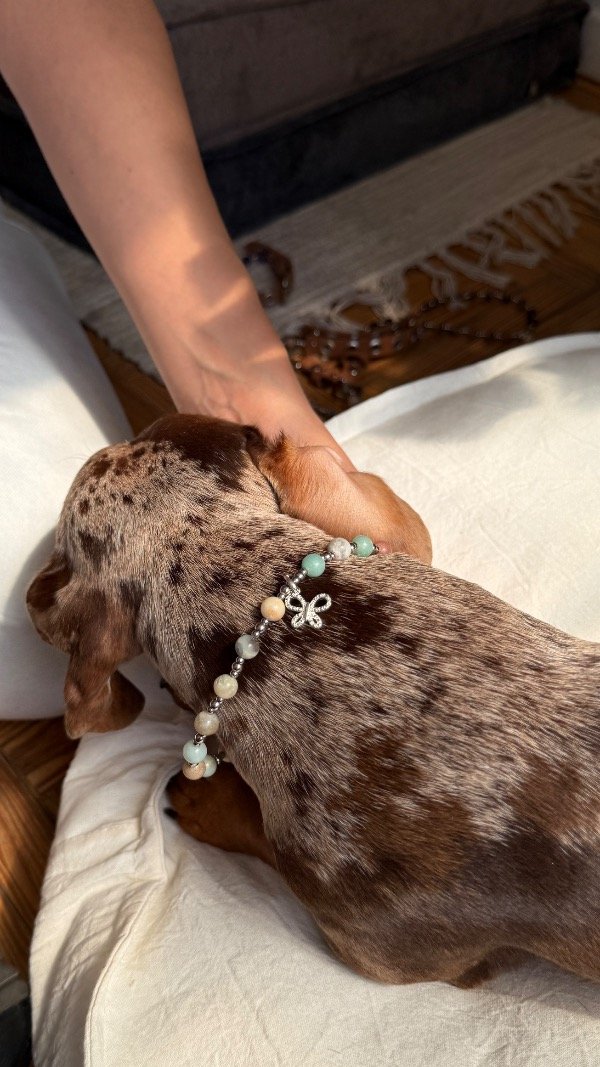 Producto - Colla Amazonita