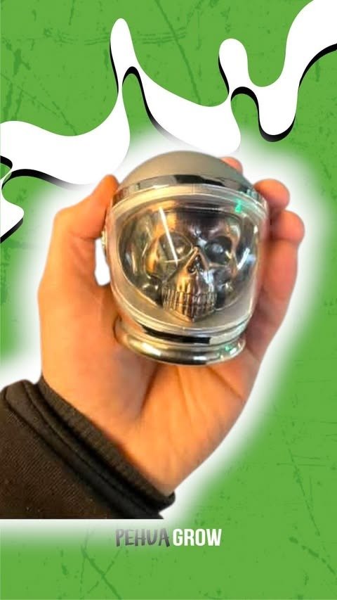 Producto - pica calavera astronauta