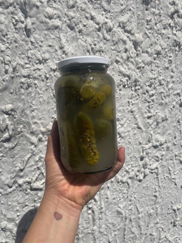 Producto - PEPINILLOS
