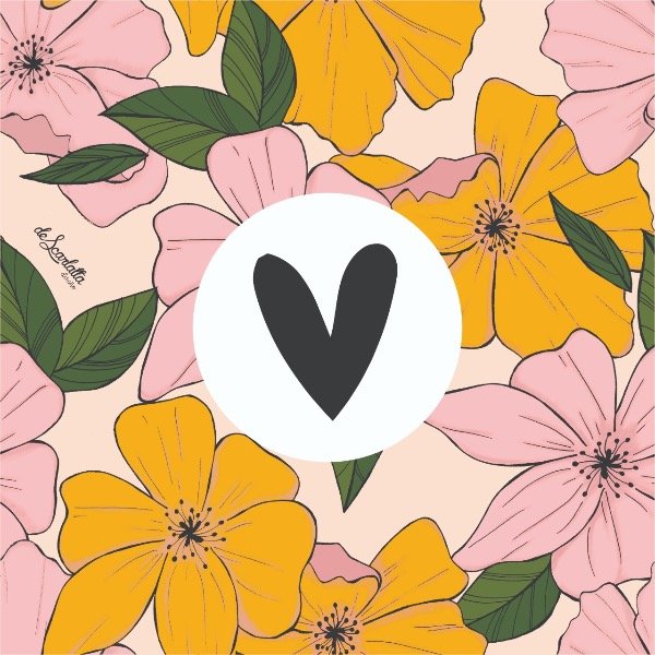 Producto - Joyeros (x2)