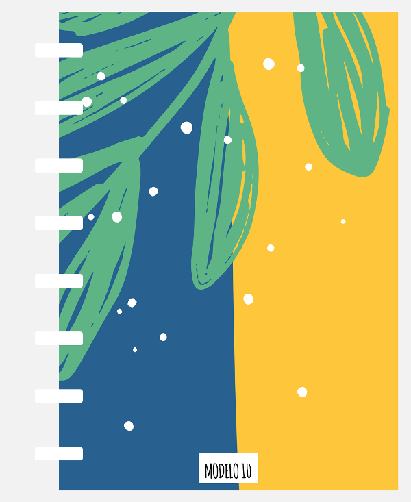 Producto - CUADERNO ESTRELLA LISO - MODELO 10