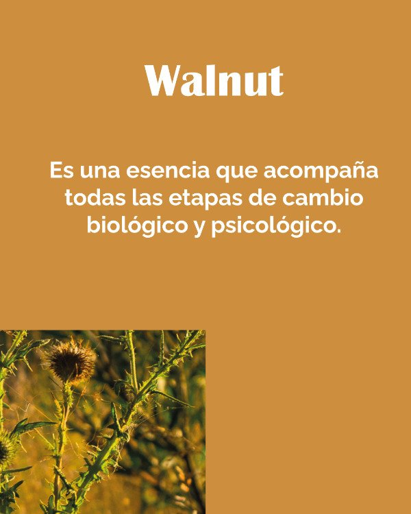 Miniatura de producto - 9