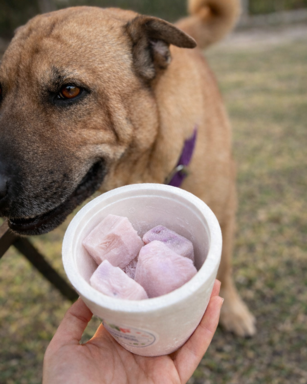 Producto - YOGUR FRUTAL PROBIOTICO