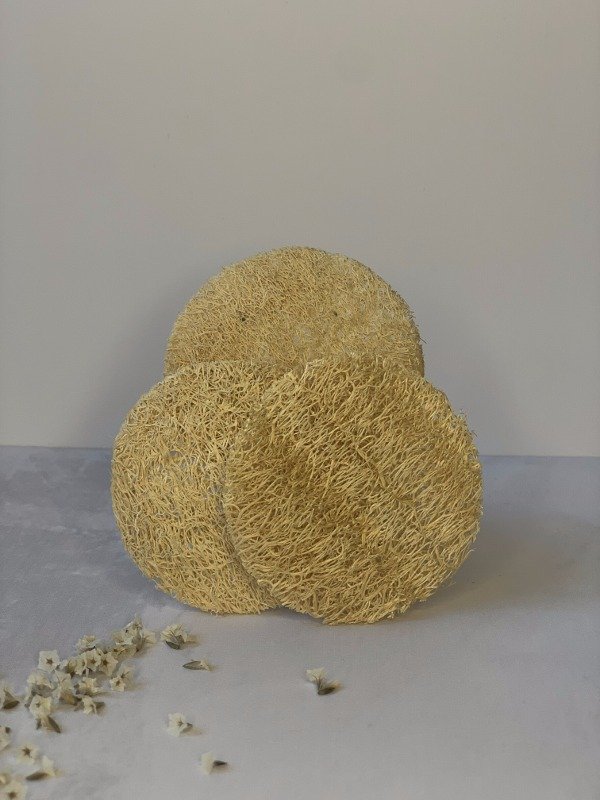 Producto - Disco de luffa X3