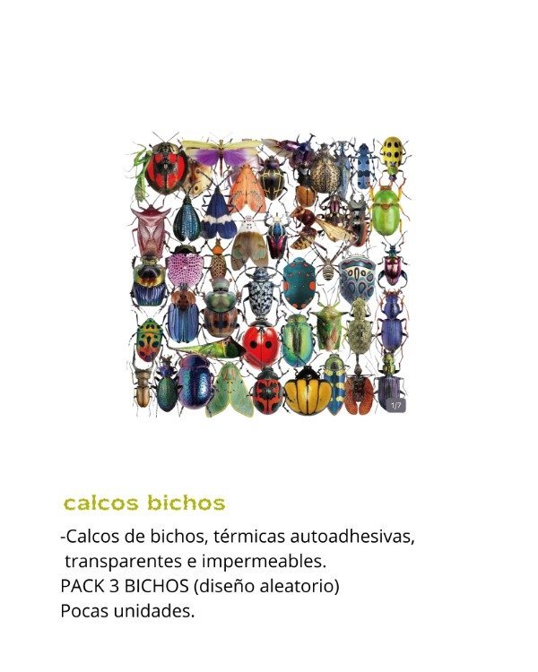 Producto - drop BICHOS - 6