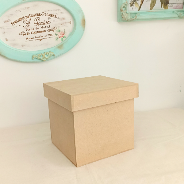 Producto - Caja tapa zapato 15x15x15cm
