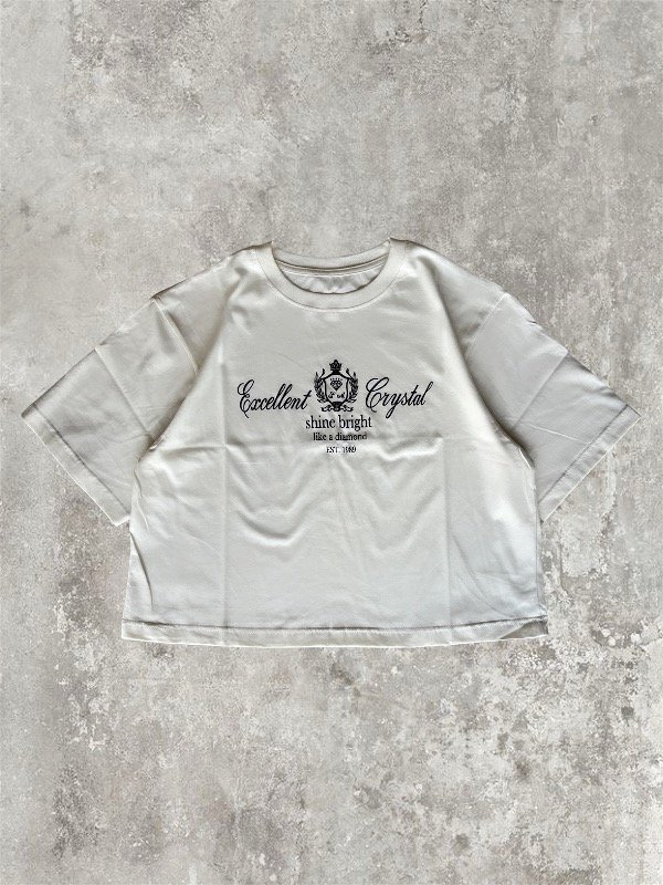 Producto - Remera boxyfit shine - 0