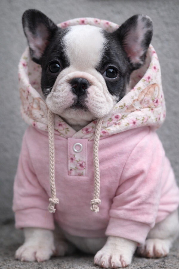 Producto - Hoodie Flowers