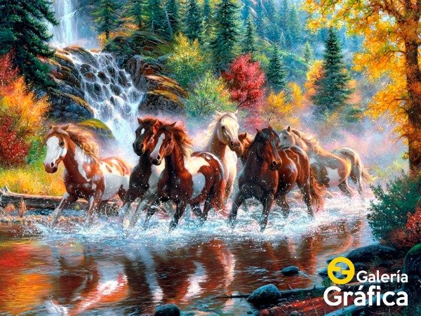 Producto - Paisaje FS 15