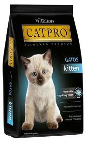 Producto - Cat Pro Kitten
