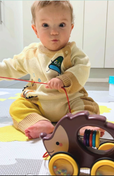 Producto - NT-500 ANIMALES DE ARRASTRE SURTIDO 4 DISEÑOS