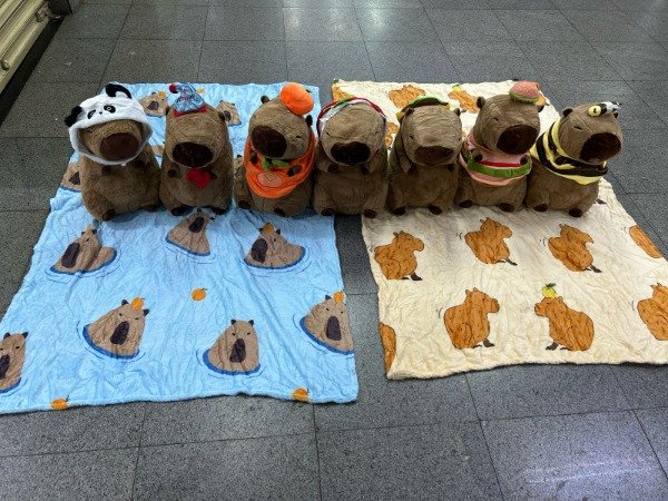 Producto - Capibara 1