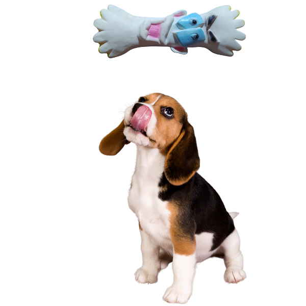 Producto - Juguete para perros con chifle sonoro modelo hueso con cara - 0