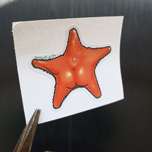 Producto - Sticker 109 - Estrellita del Conicet