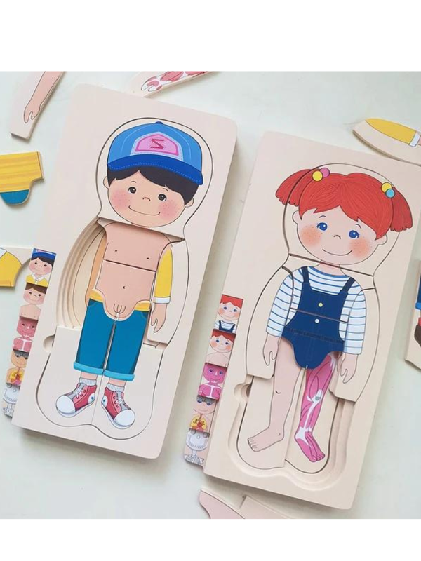 Producto - CUERPO HUMANO 5 CAPAS EN MADERA