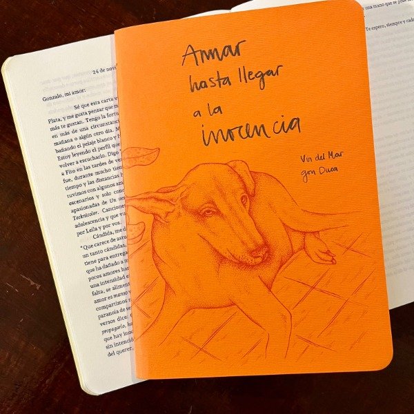 Producto - Amar hasta llegar a la inocencia - 5