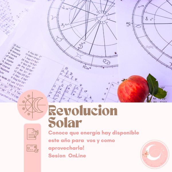Producto - Lectura Revolución Solar