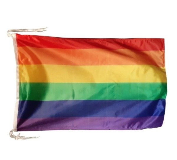 Producto - Bandera LGBTINB+