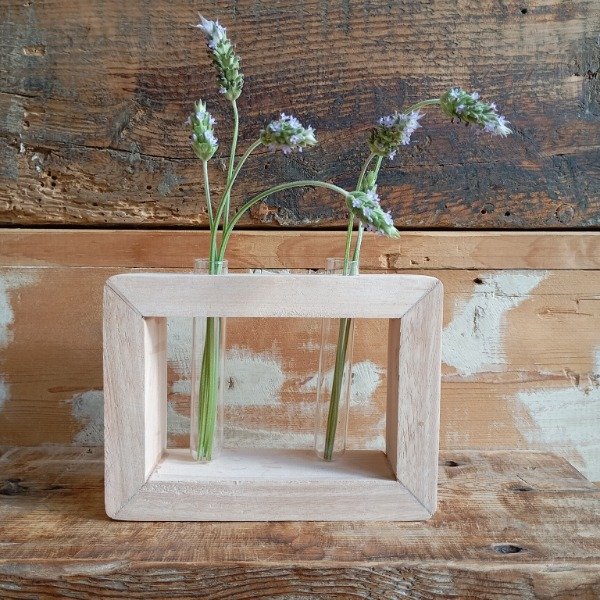 Producto - Florero / Hidroponía Marco