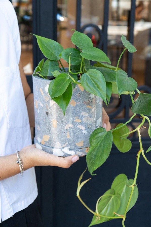Producto - Maceta Cilindro de Terrazo