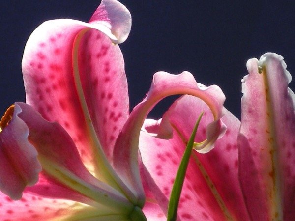 Miniatura de producto - 6