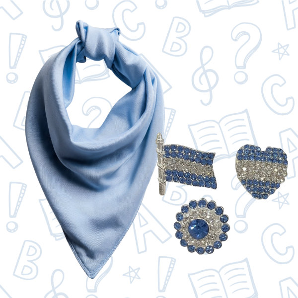 Producto - PAÑUELO GATITO + PIN PATRIO