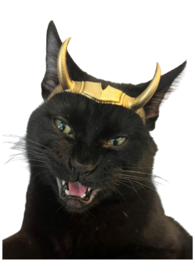 Producto - Corona Sylvie Cat