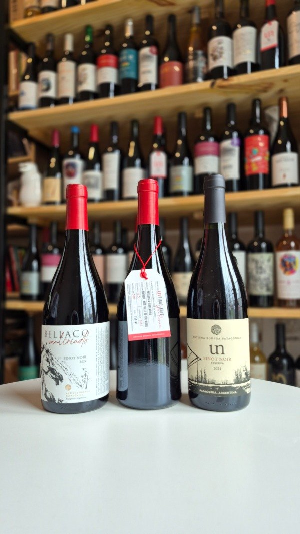 Producto - Antigua Bodega - Pinot Noir x 3