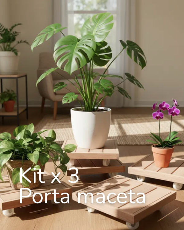 Producto - Kit x 3 porta maceta