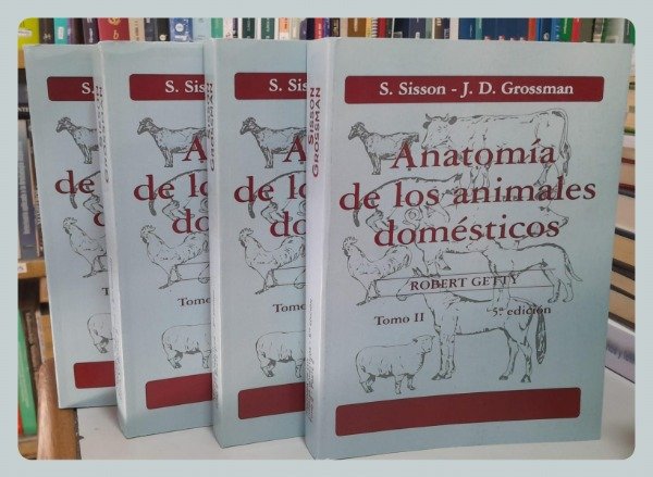 Producto - Sisson: Anatomía de los Animales Domésticos, 5ta - 4 tomos (EC)