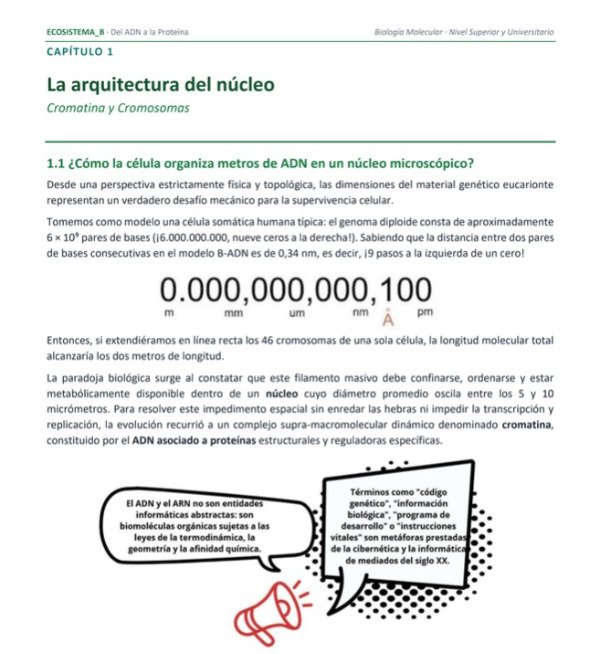 Producto - Del ADN a proteinas - 2