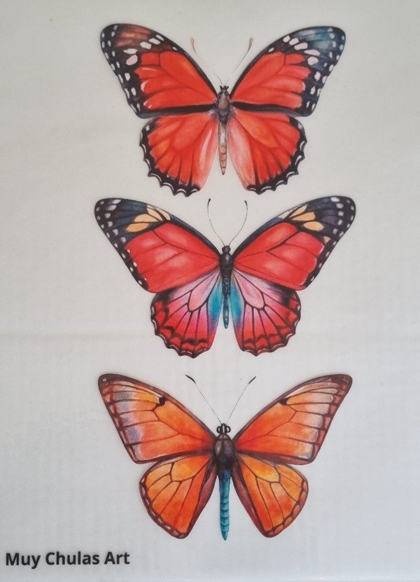 Producto - Mariposa4