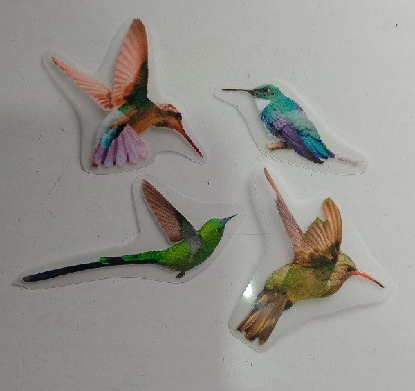 Producto - Apliques Termoadhesivos Colibries