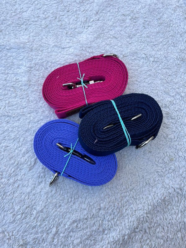 Correas perresygates